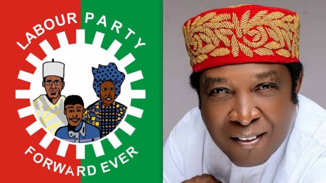 JUST IN: 48 Hours to Elections, Labour Party Candidate for Enugu East Assassinated