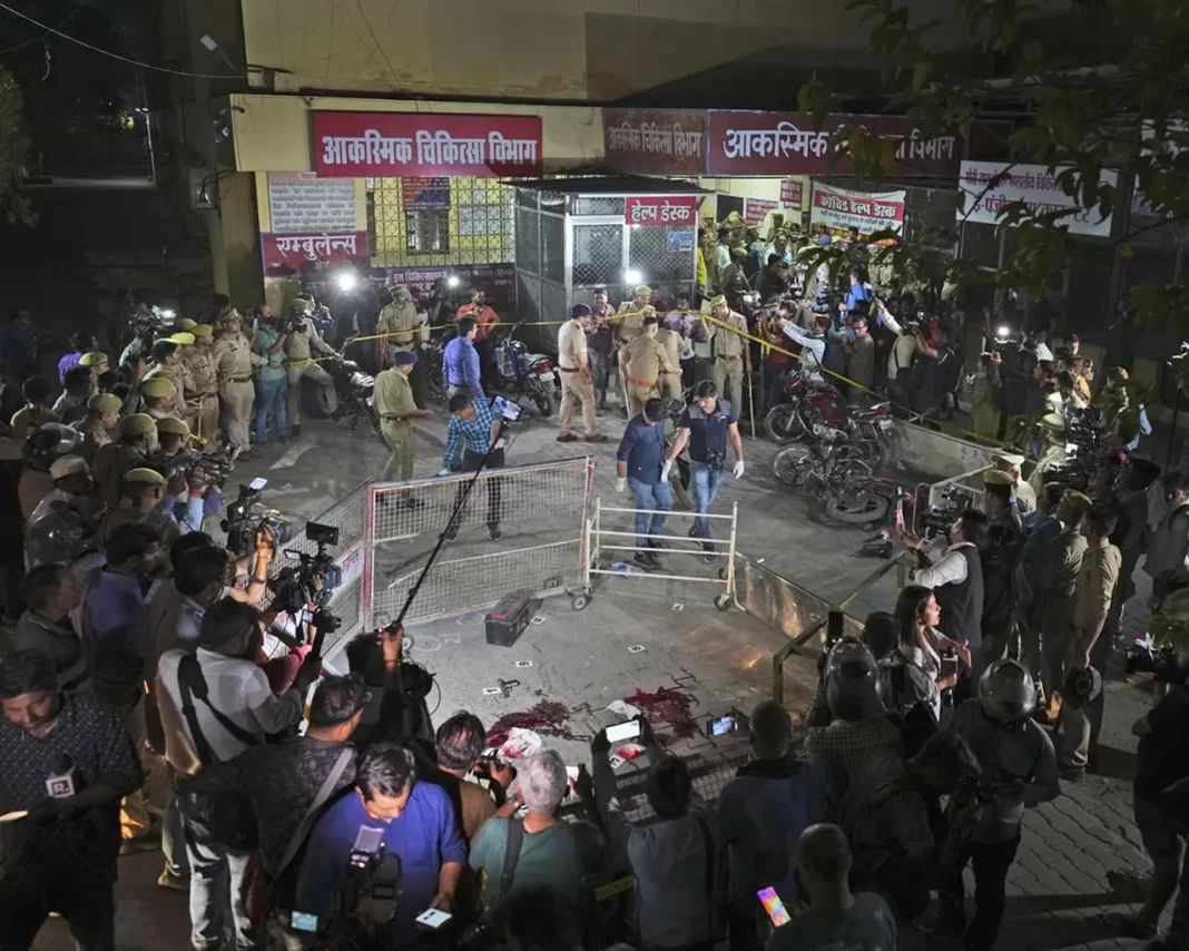 20230416020432-643b96adf903c5154339dc55jpeg