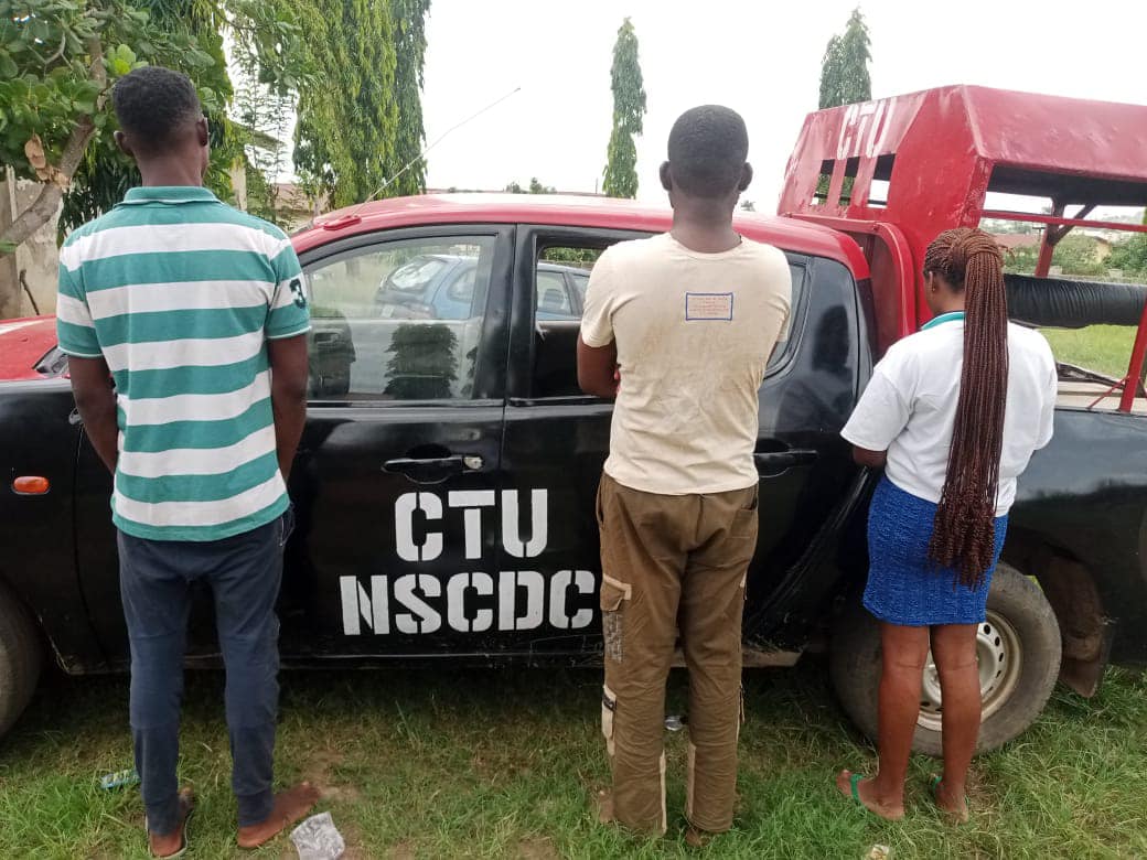NSCDC Parades Three Suspected Cannabis Dealers in Ekiti
