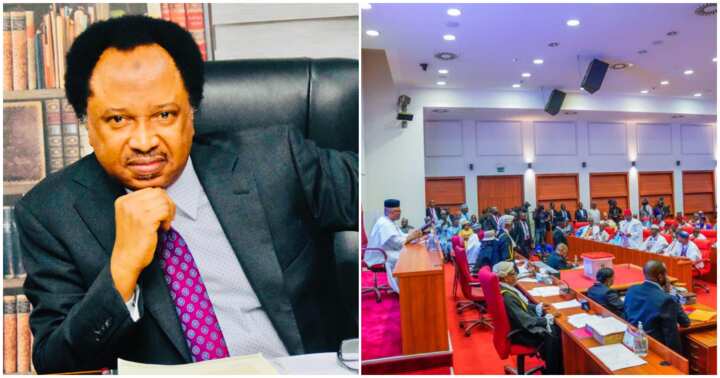 Potential Consequences for PDP and Labour Party if APC Obtains Minority Leader, According to Shehu Sani