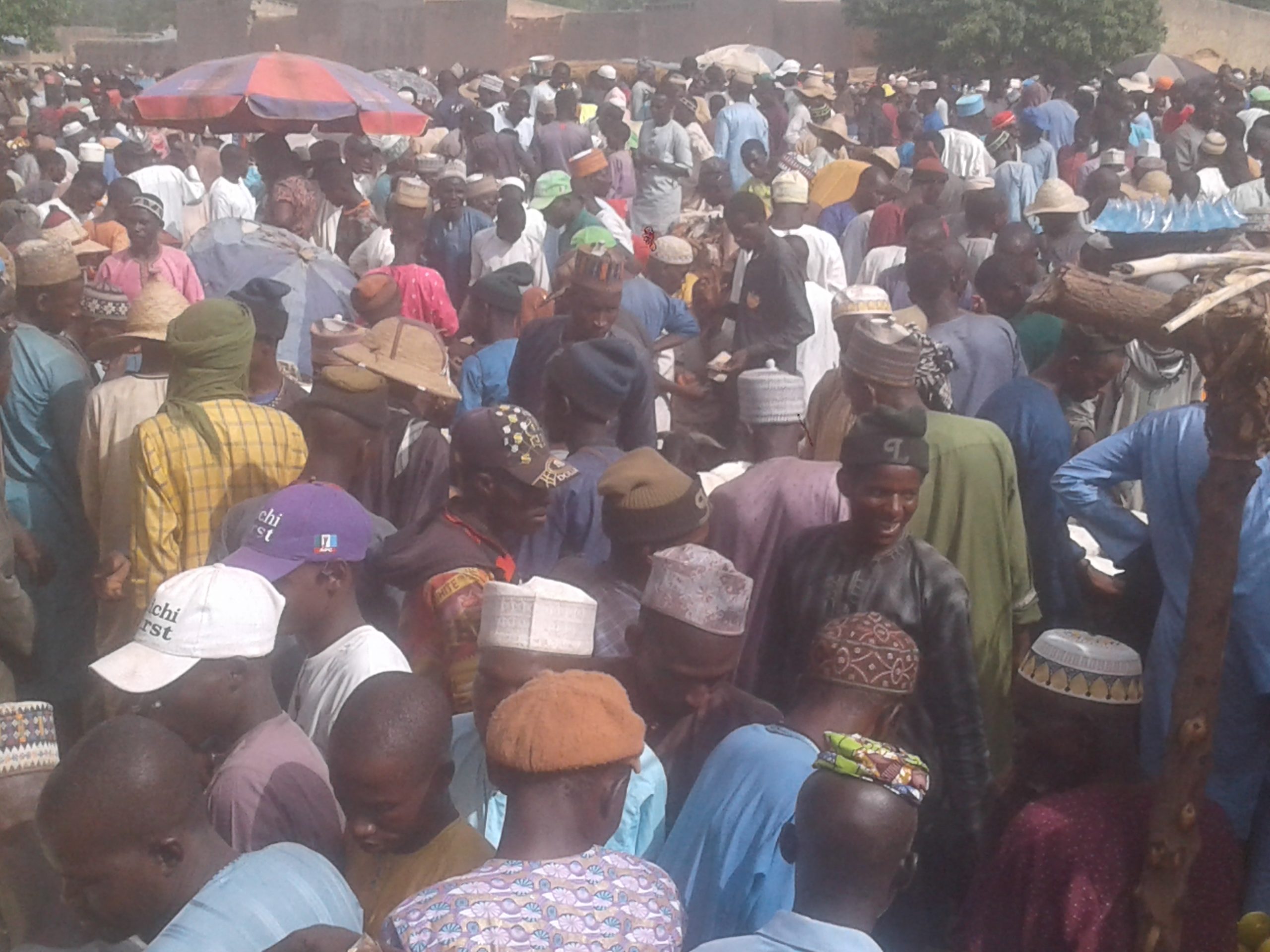 Sallah: Price Of Animals Affordable In Kano Rural Markets