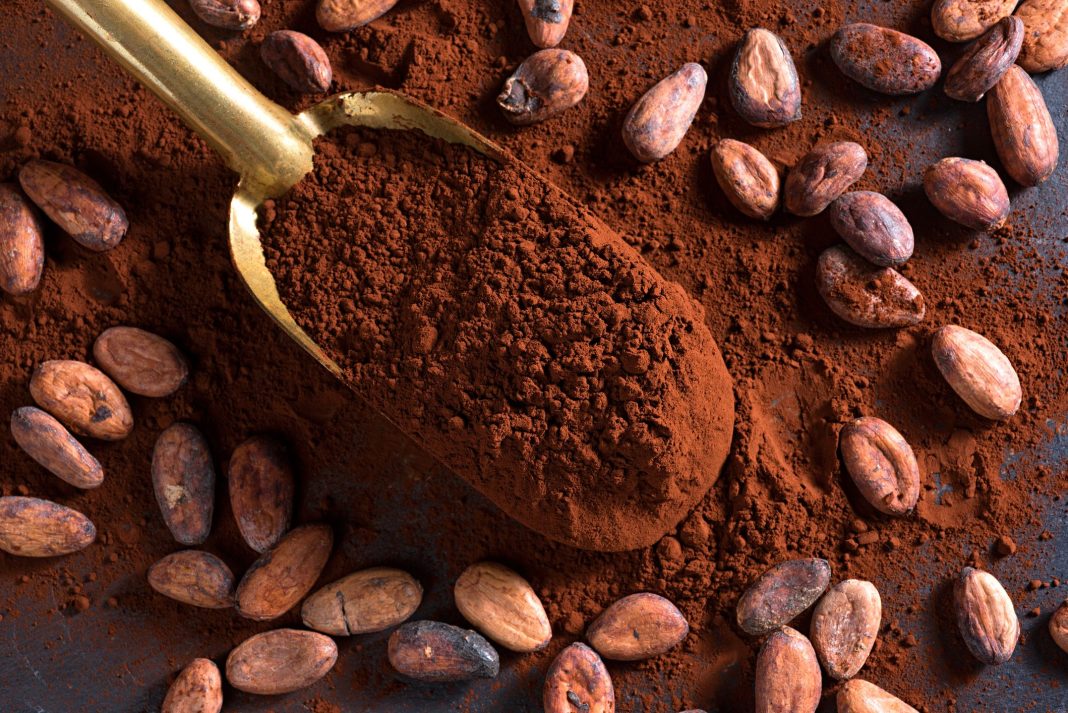 Amazing Health Facts About Cacao Powder