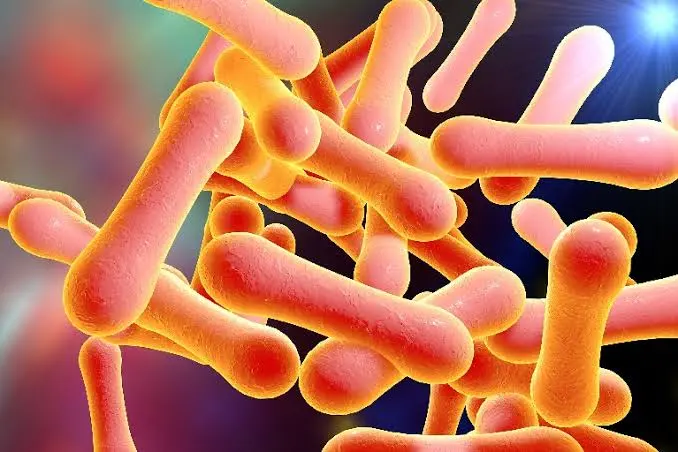 “Diphtheria Outbreak in Kaduna: 8 Deaths, 68 Suspected Cases”