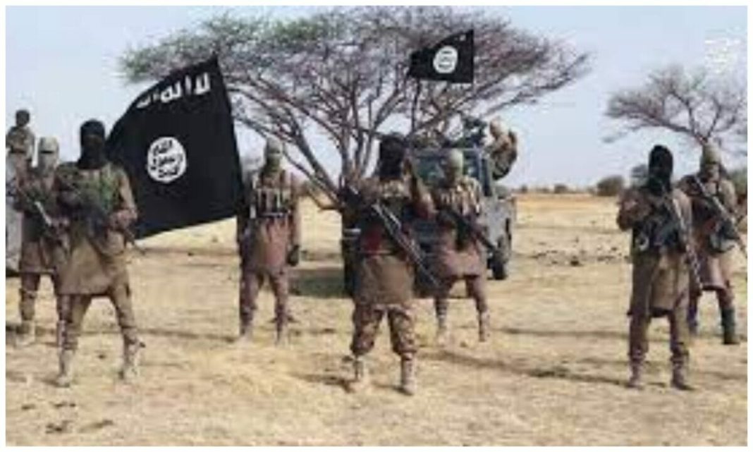 Collage-Maker-10-Aug-2023-07-22-AM-1060-1200x720