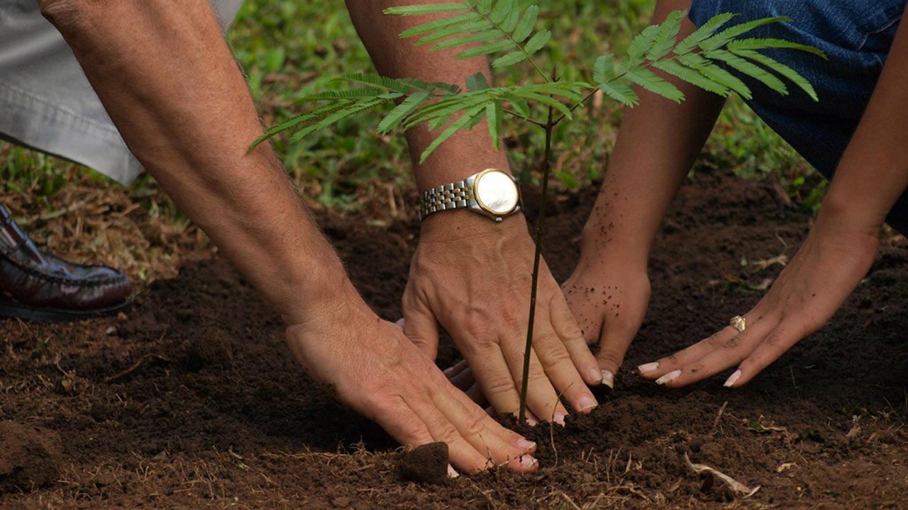 Environmental Day: FCT Youths Move to Tree Planting For Climate change