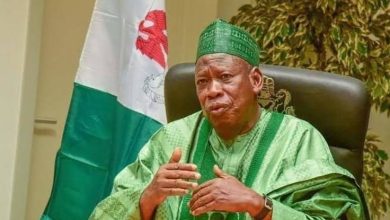 “Political Sparks Fly: NNPP Fires Back at Ganduje, Labels Him ‘Serial Loser’ and Accuses Him of Betrayal