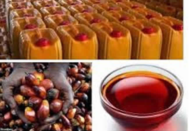 “Surge in Nigerian Palm Oil Imports from Malaysia: 65.3% Increase – Report”