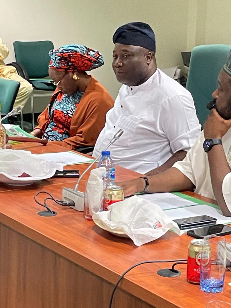 House of Representatives to support culture, tourism for economic development