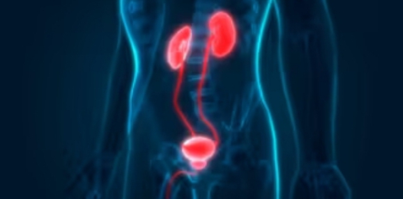 Screenshot_20231122-095414_1