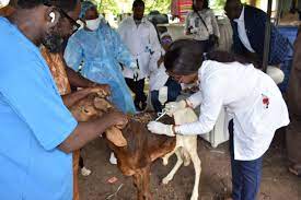 Sokoto State government says it has taken proactive measures towards mitigating transboundary Animal diseases in the state