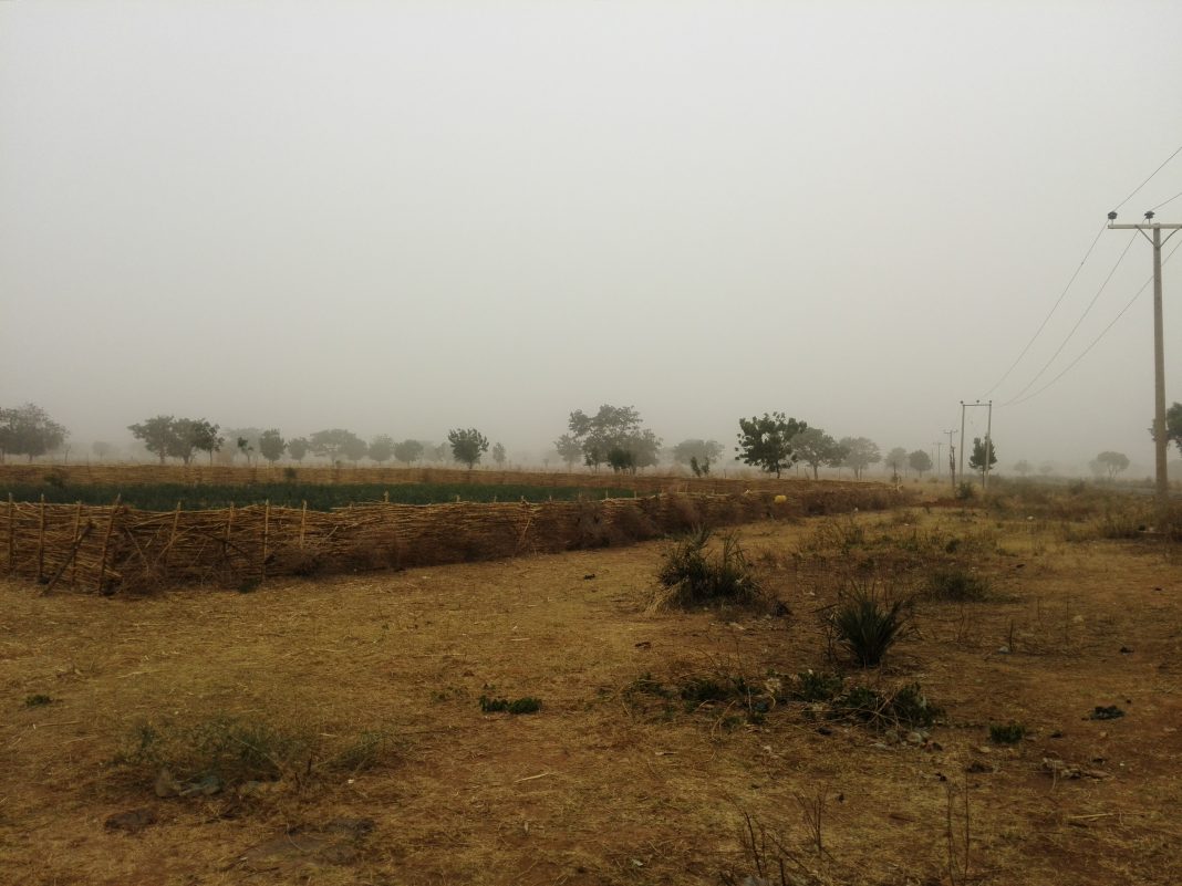 Cold Weather And Harmattan Retarded Activities In Some Parts Of Kano State-Report