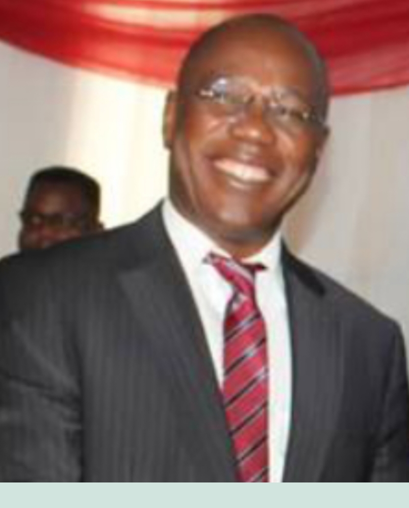 Former Julius Berger spokesperson, Moses Duku, joins Greenville LNG