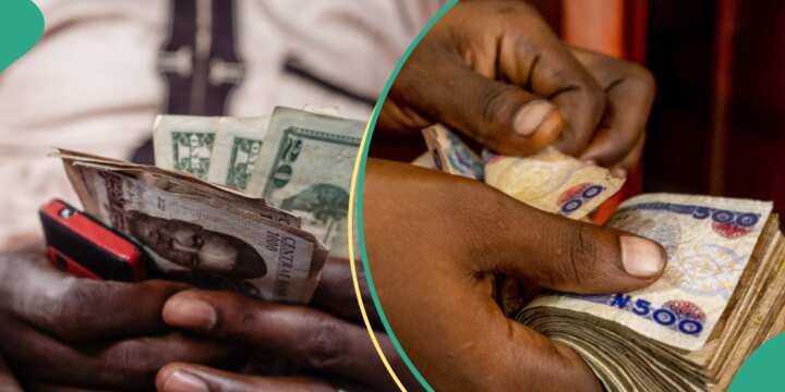 “Fed Govt Cracks Down on Forex Speculation as Naira Hits N1,900 Per Dollar”
