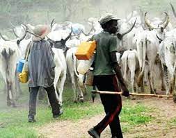 Fear Engulfs Kogi East as Fulani Herdsmen Take Over Omala Local Government