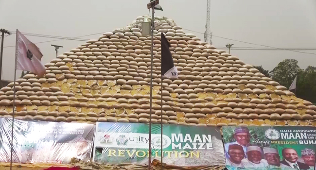 Kaduna Maize Pyramid: Association President, Abubakar laud Tinubu Agric policy