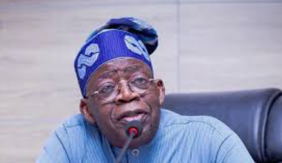 Kaduna Maize Pyramid Association President, laud Tinubu Agric policy