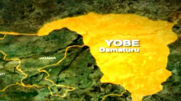 Yobe Christian Girls Abductions: Our 2 sisters are still in Islamic affairs custody – family