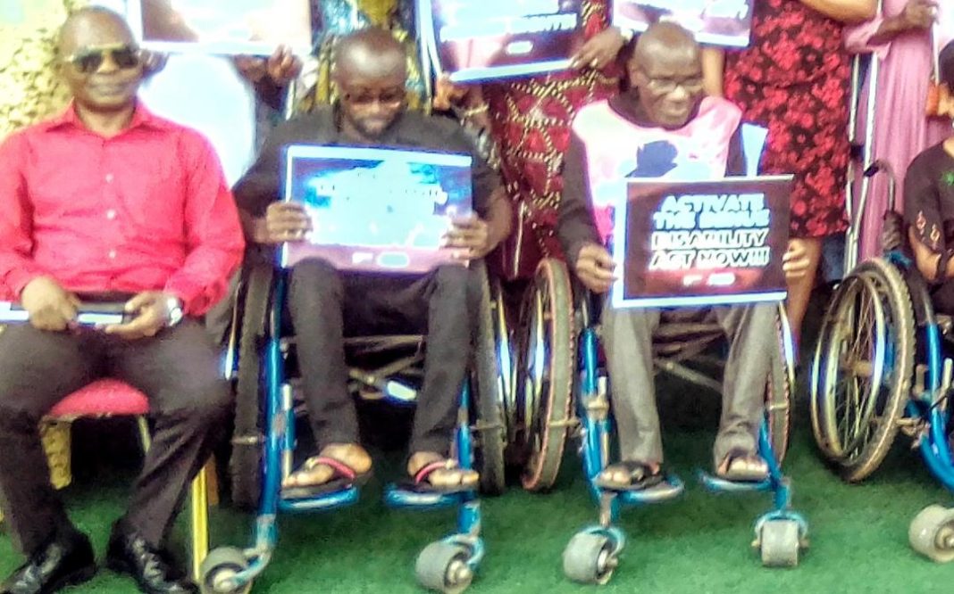 NGO Pushes For Domestication Of Disability Law In Benue State