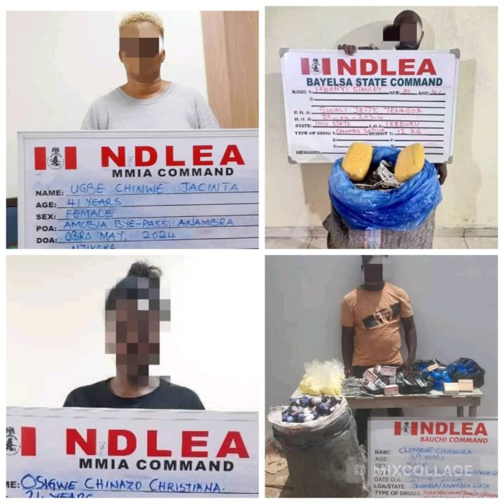 NDLEA Busts International Drug Syndicate: Five Arrested, Significant Seizures Made