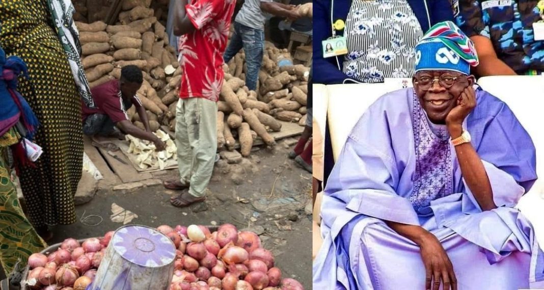 When Will the Storm Pass? Navigating Nigeria’s Economic Hardships Under Tinubu’s Leadership