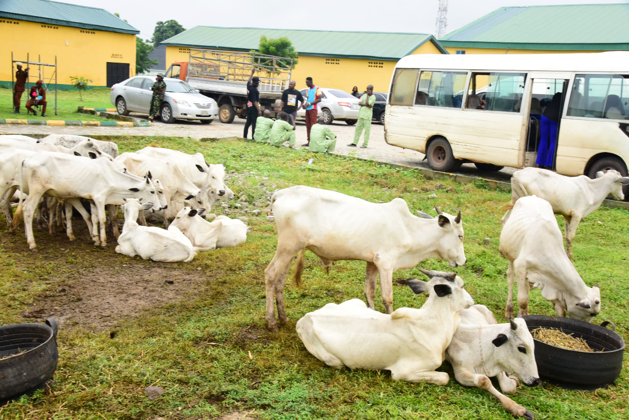 FCTA distributes Agro inputs to 50,000 beneficiaries in Abuja