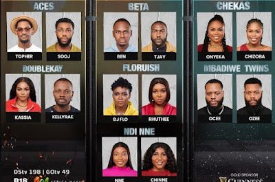 Meet the Housemates of ‘BBNaija: No Loose Guard’ – Everything You Need to Know
