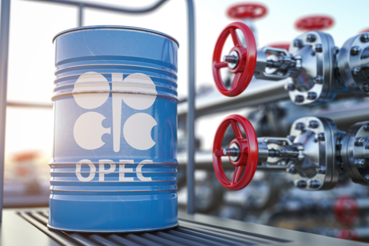 The Organization of the Petroleum Exporting Countries (OPEC)