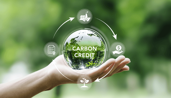 BURN CEO: Harnessing Carbon Credits to Fund Eco-Friendly Cooking Solutions for Africa**