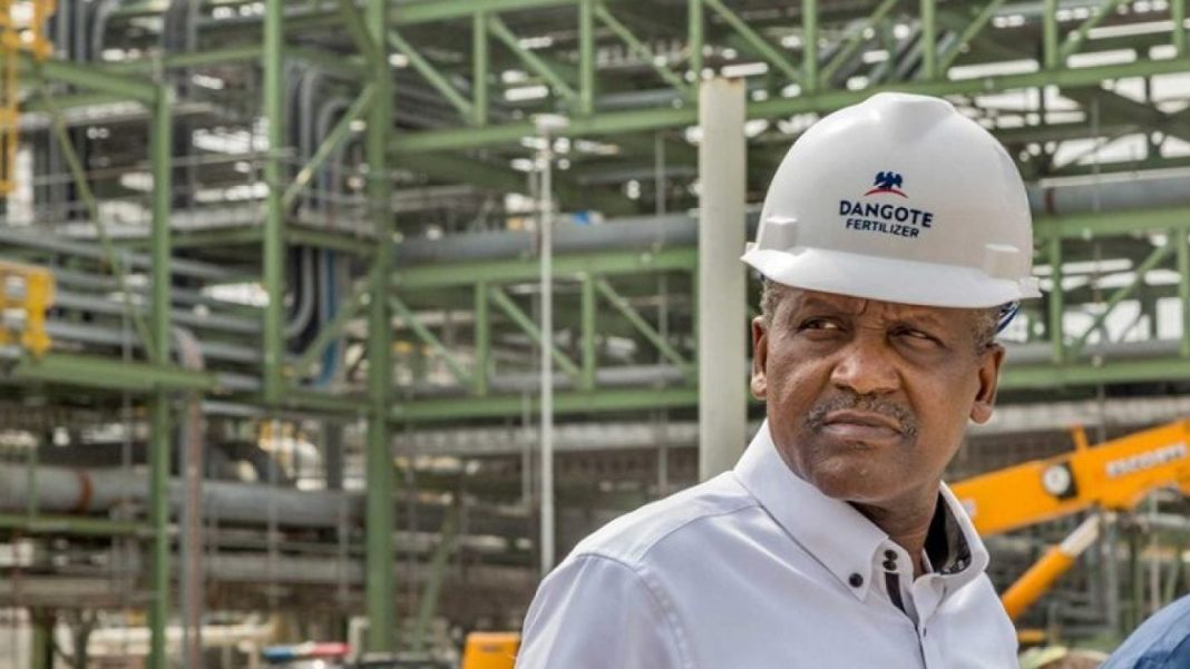 Dangote Stocks Drop Amid Merger Rejection and Forex Crisis