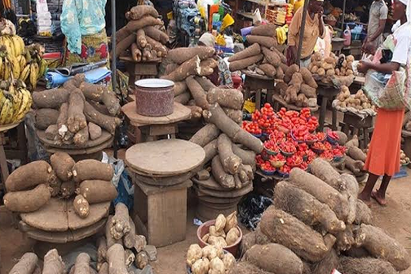 Bumper Harvests Lead to Mixed Reactions in Food Prices Across Kano, Kaduna, and Katsina