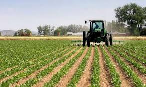Nigeria Urged to Embrace Automation for Food Self-Sufficiency