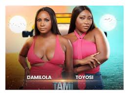 Emotions Run High as Toyosi Seeks Space from Damilola After BBNaija Eviction