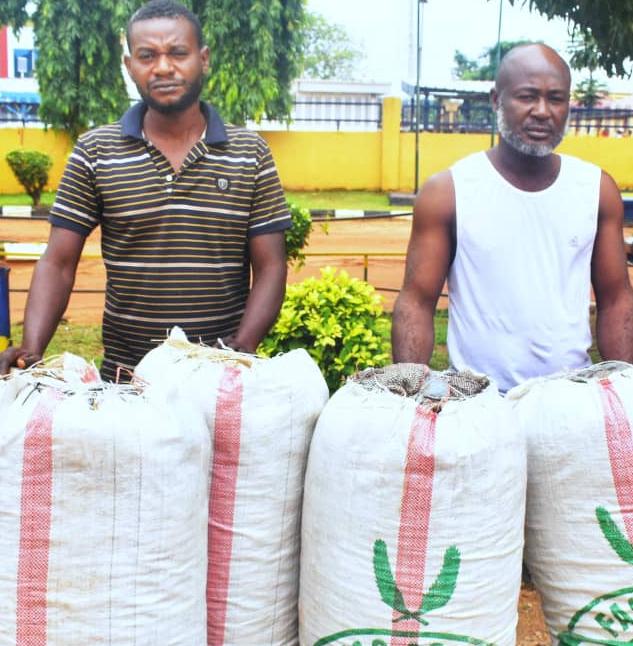 Police Arrest Suspected Illicit Drug Dealer in Benue State