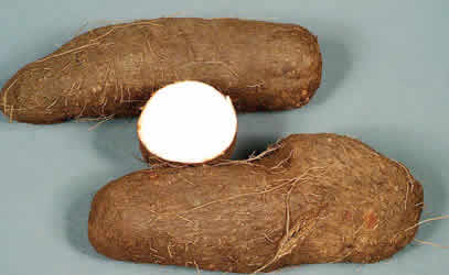Court jails man six months for stealing three yam tubers