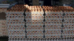 Egg Prices May Rise to N10,000 as Farmers Seek Intervention