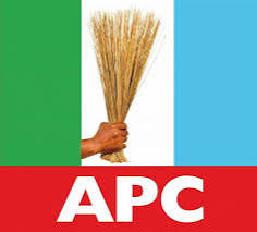 Consensus Triumphs: Nasarawa APC Unites Ahead of Crucial Local Government Elections