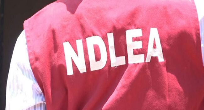 NDLEA Removes Husband Approval Requirement for Married Women’s Visa Clearance