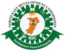 NEDC to Launch Solar-Powered Tricycles and Taxis in North East