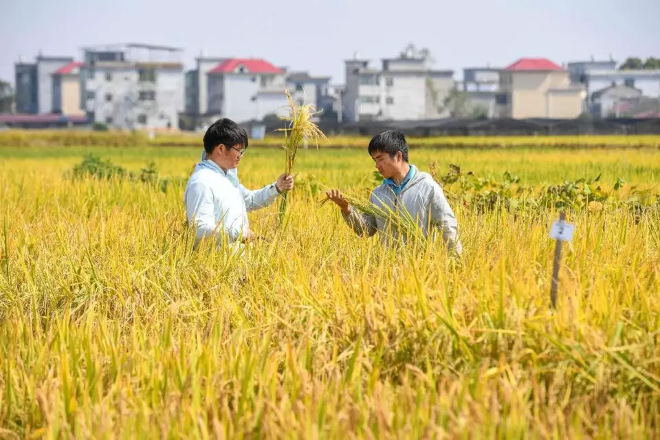 Science and technology backyard projects contribute to China’s rural vitalization