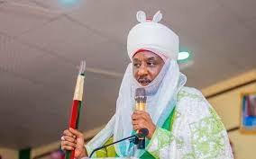 Emir Sanusi on Tackling Domestic Violence: Retaliation or Legal Action?
