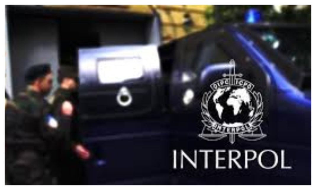 Interpol Arrests 45 in Africa Over Anti-Terrorism, Drug Operations