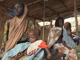 Nigerian Rights Activist Raises Alarm Over Death Threats in Borno