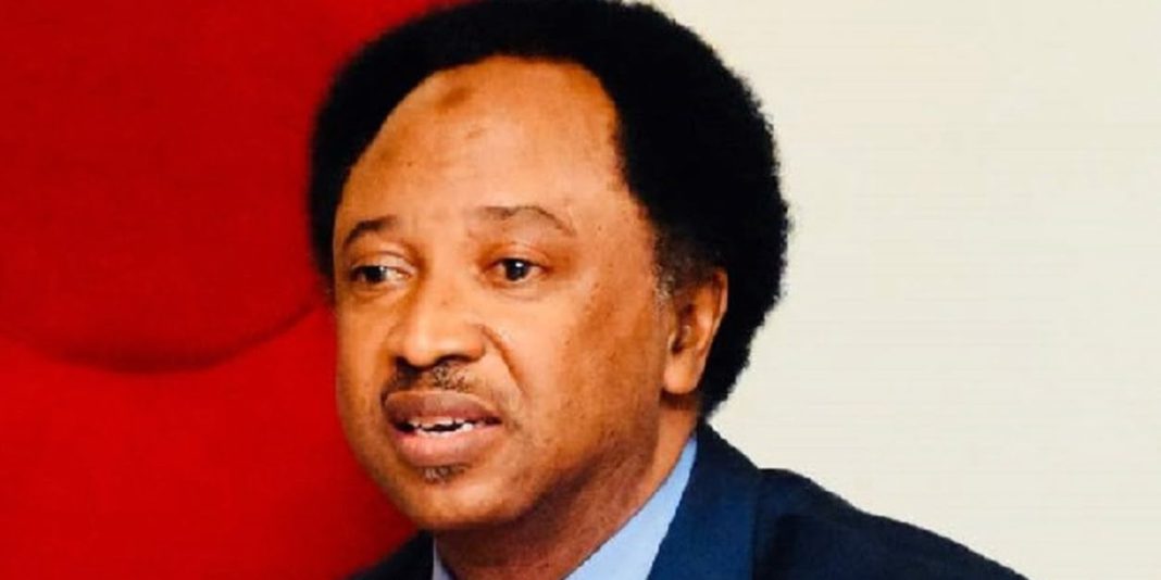 Shehu Sani Urges Nigerians in US to Return Amid Mass Deportations
