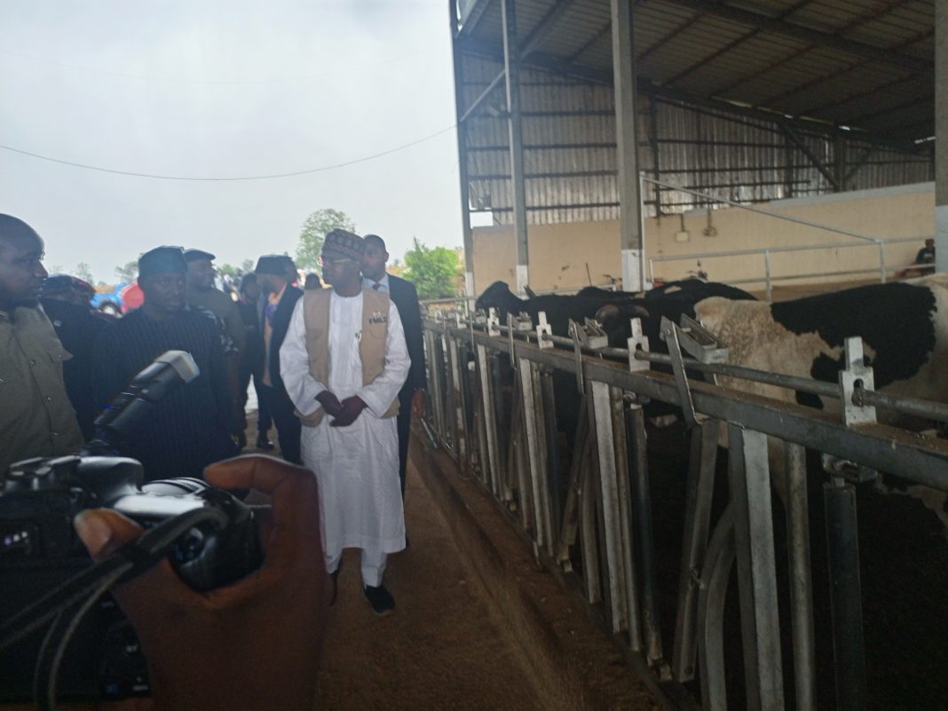 FG to partner Plateau govt to revamp Milk Way Diary Farm in Bokkos LGA