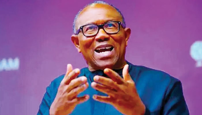 Obi Clarifies Vatican Visit, Urges Focus on Pope’s Message for Reform