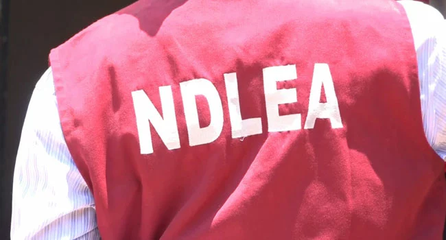 NDLEA Warns Travellers: Don’t Carry Bags You Didn’t Pack