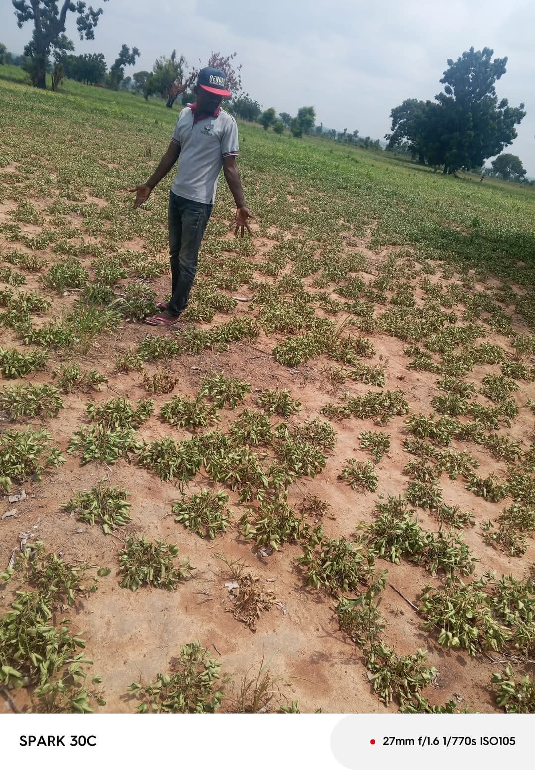 Farmers in Southern Plateau decay low rainfall 