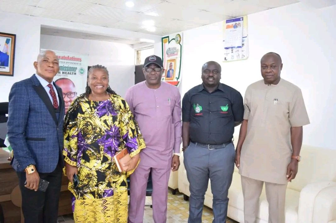Plateau State Health Supply Chain Gains National Spotlight