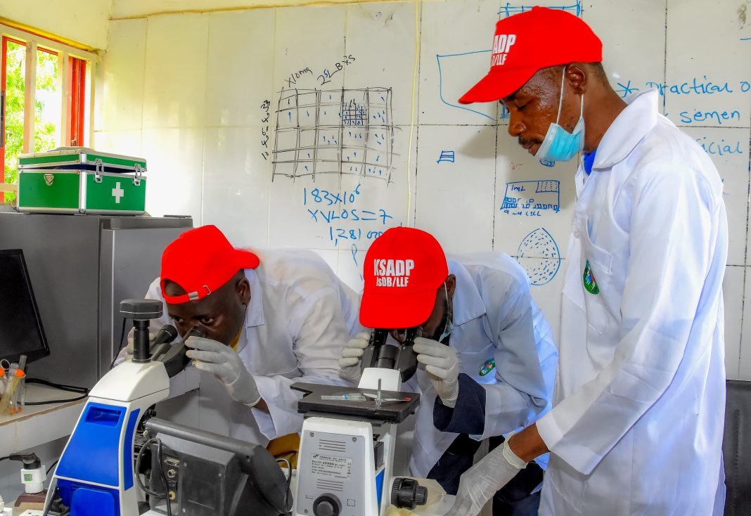 KSADP Invests N800 Million in Capacity Building to Boost Livestock Development in Kano