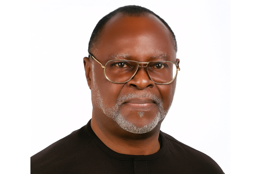 Nigeria and the Global Governance Initiative: Building a New Model of Partnership with China